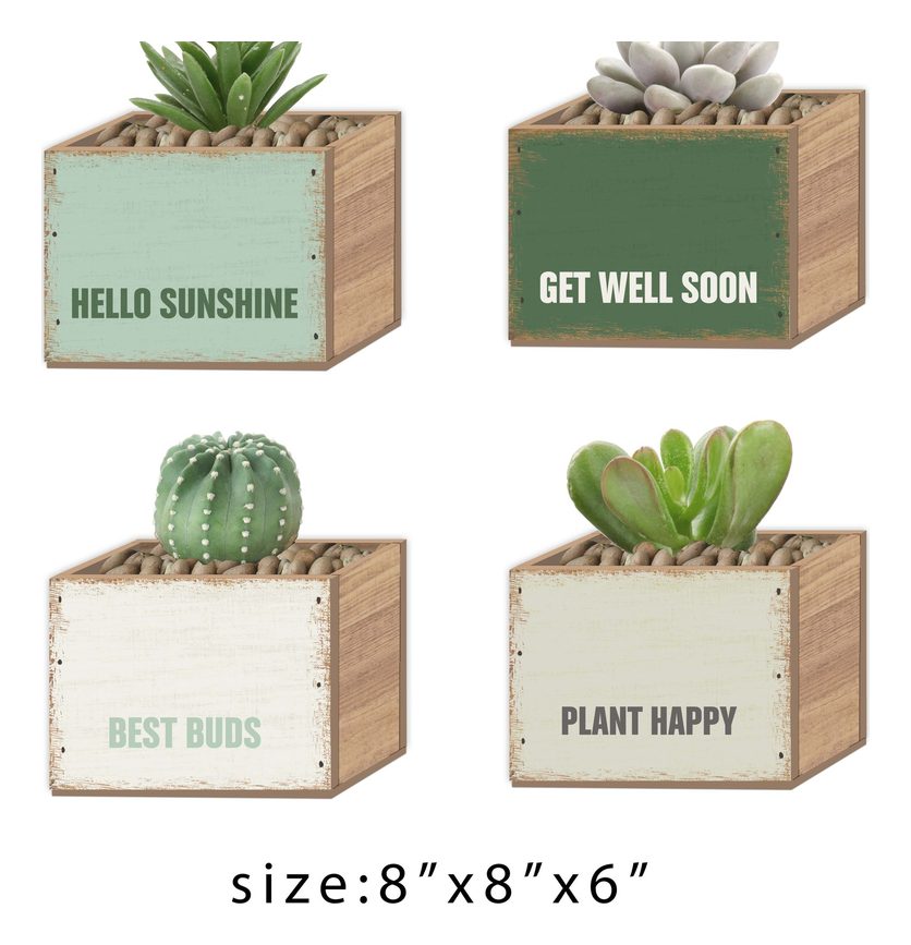 Succulent planter box, 4 designs