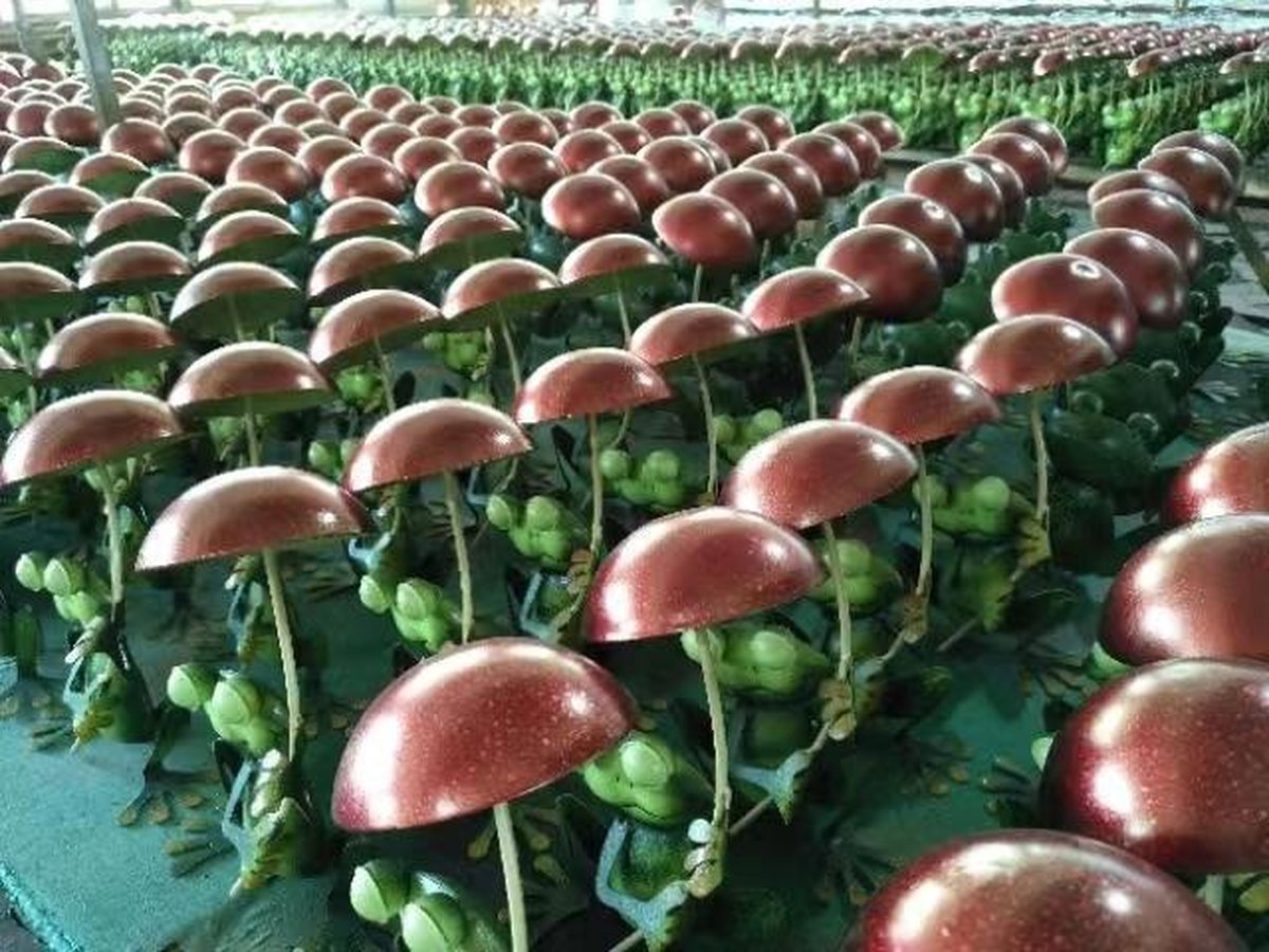 Hundreds of finished garden pieces — frogs holding metallic red umbrellas — laid out in rows to cure after hand painting